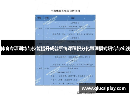 体育专项训练与技能提升成就系统课程积分化管理模式研究与实践