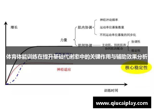 体育体能训练在提升基础代谢率中的关键作用与辅助效果分析