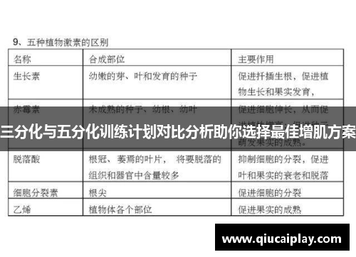 三分化与五分化训练计划对比分析助你选择最佳增肌方案